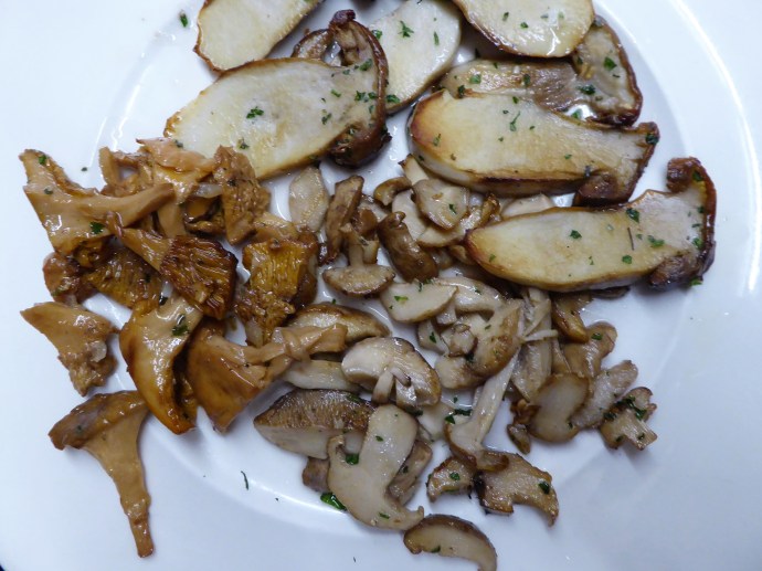 Variation of mushrooms at Ganbarra