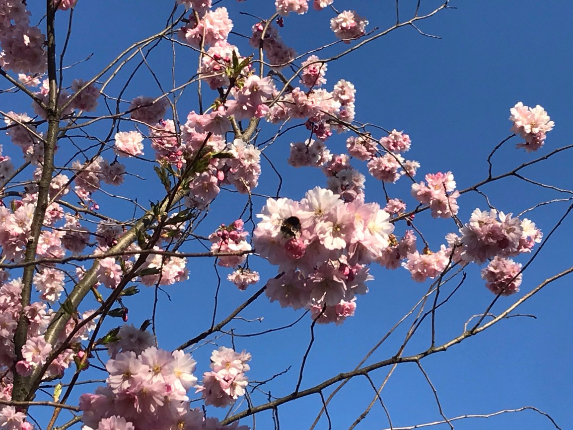 A Second Spring in&nbsp;Oslo